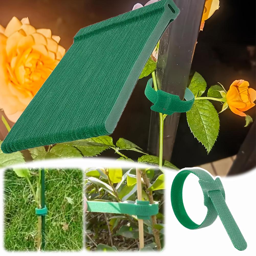 100pcs Reusable Adjustable Non - Velcro Hook Loop ulasan dan harga